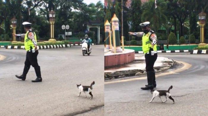 polisi-kucing.jpg