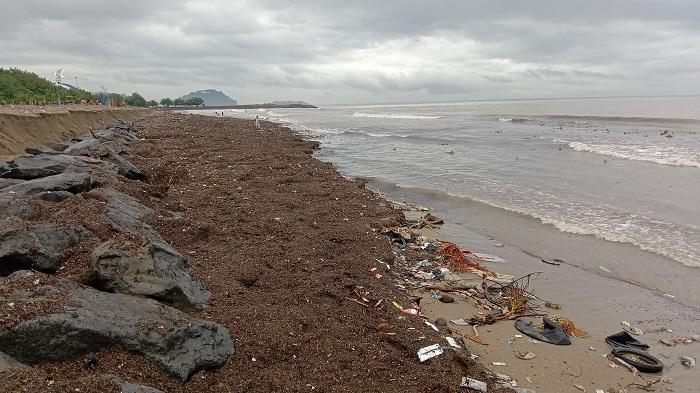 Hanyut dari Hulu Sungai, Bibir Pantai Muaro Lasak Padang Tertutup Sampah Sepanjang 400 Meter