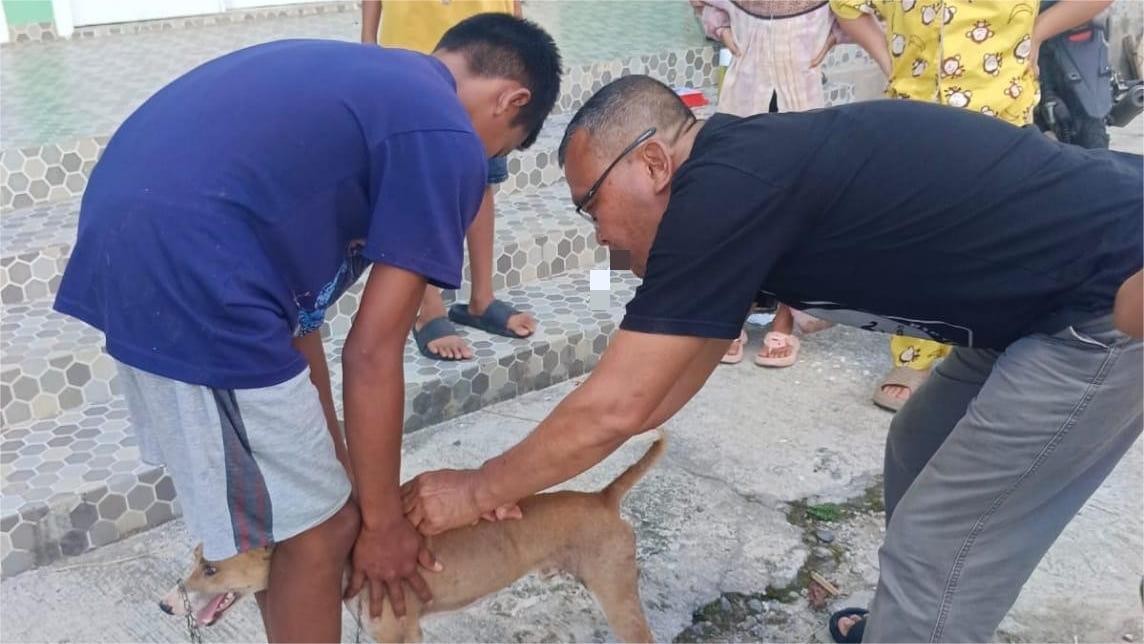 vaksin-rabies-di-Dinas-Pertanian-Kabupaten-Pasaman-492025.jpg