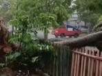 ANGIN-KENCANG-SEBABKAN-POHON-TUMBANG-DI-KOTA-SOLOK-Hujan-lebat-disertai-angin-kencang.jpg
