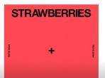 Arti-lagu-Strawberry-and-Cigarettes-Troye-Sivan.jpg