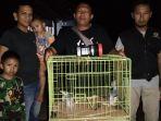 BKSDA-Resor-Agam-terima-dua-ekor-burung-yang-dilindungi-dari-warga-di-Kabupaten-Agam.jpg