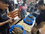 Barang-bukti-diduga-narkoba-jenis-ganja-yang-diamankan-oleh-Polresta-Padang-46.jpg