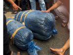 Barang-bukti-ganja-dua-plastik-besar-dengan-berat-total-sekitar.jpg