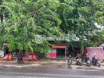 Deretan-kendaraan-yang-parkir-di-bawah-pohon.jpg