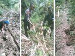 Gajah-Liar-yang-Muncul-di-Sijunjung-Kembali-ke-Riau-Tim-Gabungan-Temukan-Kotoran-dan-Jejak.jpg