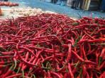Harga-cabai-merah-di-Pasara-Sijunjung-1892025.jpg