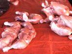 Harga-daging-ayam-potong-di.jpg