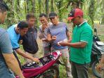 Kapolsek-Kinali-AKP-Alfian-Nurman-bersama-tim-saat-mengamankan-pelaku-di-perkebunan-kelapa-sawit.jpg