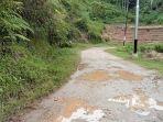 Kondisi-jalan-di-Nagari-Pagadih-Kecamatan-Palupuh.jpg