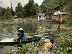 Pasca-Ikan-Mati-Massal-Ramai-Warga-Tangkap-Ikan-di-Danau-Maninjau-Hitungan-Jam-Dapat-Belasan-Kilo.jpg