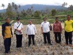 Pastikan-Kestabilan-Produksi-Dinas-Pertanian-Kembangkan-Padi-Anak-Daro-di-Kabupaten-Solok.jpg