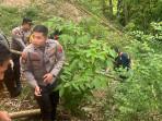 Penemuan-potongan-mayat-bayi-di-Bukittinggi-25102025.jpg