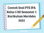Penilaian-Tengah-Semester-PTS.jpg