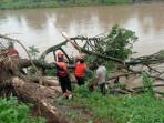 Pohon-tumbang-menghambat-aliran-banjir-kanal-di-Bs.jpg