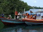 SAR-Mentawai.jpg
