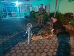 Satpol-PP-Amankan-Manusia-Silver.jpg