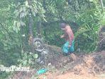 Satu-truk-bersama-satu-unit-sepeda-motor-terguling-ke-dalam-jurang-di-Kelok-Banto.jpg