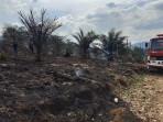 64 Kasus Kebakaran Terjadi di Sijunjung, Kebakaran Lahan Paling Sering Terjadi