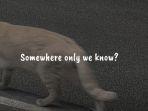 Somewhere-Only-We-Know-Keane.jpg