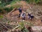 Tangkapan-layar-kondisi-jalan-di-Nagari-Garabak-Data-Kecamatan-Tigo-Lurah.jpg