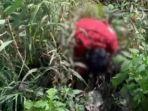 padang/Tangkapan-layar-video-penemuan-mayat-di-Sitinjau-Lauik-Kota-Padang-Sumatera-Barat.jpg