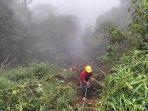 Truk-terjun-ke-jurang-Sitinjau-Lauik-2.jpg