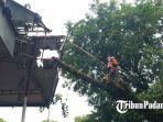 Tumbang-Pohon1.jpg