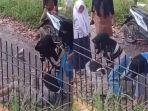 Viral-di-media-sosial-kukan-kepada-seorang-siswi-SMP.jpg