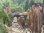 Warga-Nagari-Lunang-Pesisir-Selatan-Sumatera-Barat-Sumbar-memasang-kandang-jd.jpg
