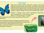 apa-akibatnya-apabila-kupu-kupu-punah-apa-yang-bisa-kamu-lakukan-untuk-melindungi-kupu-kupu.jpg