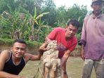 arca-makara-di-pasaman-temuan-patung-candi.jpg