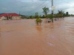 babnjir-di-pesisir-selatan.jpg