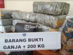 bnnp-sumbar-sita-ratusan-kilogram-ganja-kering-di-sumatera-barat-foto-diambil-rabu-17112021.jpg