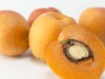 buah-aprikot.jpg