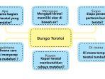bunga-teratai.jpg