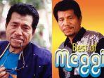 chord-kunci-gitar-dan-lirik-lagu-jatuh-bangun-meggy-z-jatuh-bangun-aku-mengejarmu.jpg