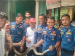 evakuasi-ular-di-padang-17102025.jpg
