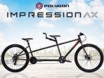 harga-sepeda-tandem-polygon-beserta-spesifikasinya-harga-mulai-rp-5-jutaan-saja.jpg