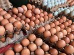 Harga Telur Ayam di Pasar Sijunjung Dijual Rp53 Ribu per Krat, Pedagang Sebut Masih Stabil