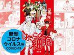 ilustrasi-buku-manga-hataraku-saibo-karya-akane-shimizu.jpg