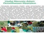 kunci-jawaban-tema-5-kelas-5.jpg