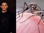 lagu-djskrillex-ampuh-usir-nyamuk-demam-berdarah.jpg