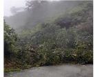 longsor-dan-pohon-tumbang.jpg