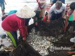 maelo-pukek-pukat-jaring-ikan-pantai-padang.jpg