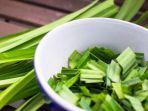 pandan-daun.jpg