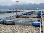 penampakan-ikan-mati-massal-di-danau-maninjau-agam-selasa-1152021.jpg