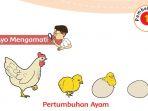 pertumbuhan-dan-perkembangan-makhluk-hidup.jpg