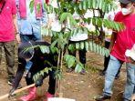 pohon-pdip48.jpg