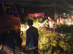 pohon-tumbang-di-Kamang-Baru-Sijunjung-5102025.jpg